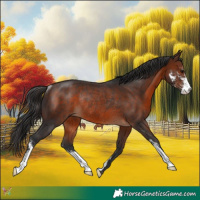 Horse Color:Brown Sabino Rabicano