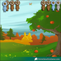 Horse Color:Brown Sabino