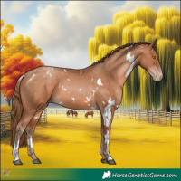 Horse Color:White Spotted Brown Pearl 
