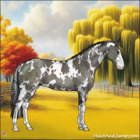 Horse Color:White Spotted Grullo Sabino 
