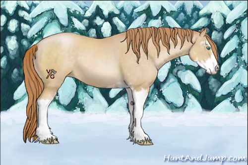 Horse Color:Smoky Black Pearl Sabino