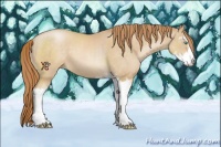 Horse Color:Smoky Black Pearl Sabino