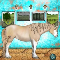 Horse Color:Chestnut Pearl Sabino Rabicano