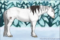 Horse Color:Smoky Black Sabino Splash