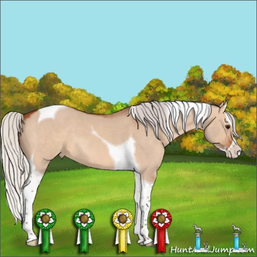 Horse Color:Silver Bay Dun Splash Tobiano 