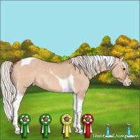 Horse Color:Silver Bay Dun Splash Tobiano 