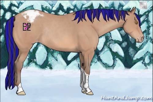 Horse Color:Painted Amber Champagne Tobiano Varnish Rabicano