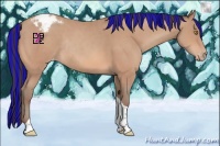Horse Color:Painted Amber Champagne Tobiano Varnish Rabicano 