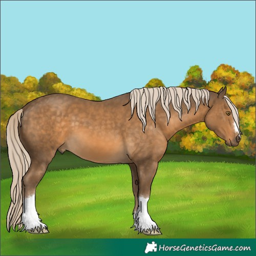 Horse Color:Chocolate Palomino 