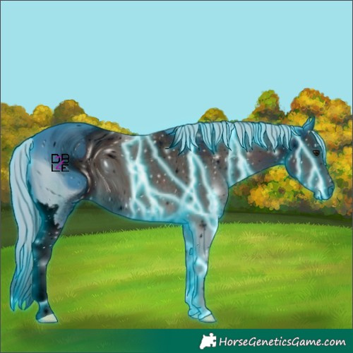 Horse Color:ERROR: UNKNOWN ANOMALY