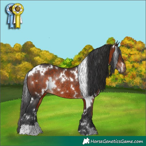 Horse Color:White Spotted Brown Rabicano
