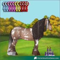 Horse Color:White Spotted Sable Champagne Rabicano 