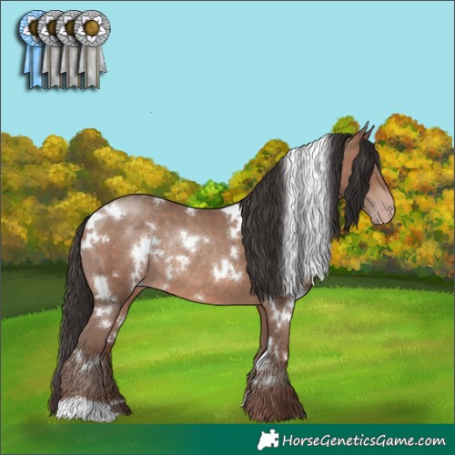 Horse Color:White Spotted Sable Champagne Rabicano 