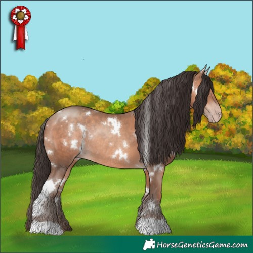 Horse Color:White Spotted Sable Champagne Rabicano 