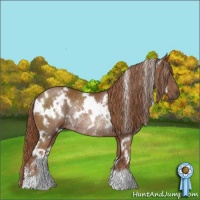 Horse Color:White Spotted Chestnut Rabicano 