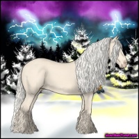 Horse Color:Cremello 