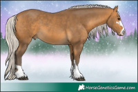 Horse Color:Silver Buckskin 