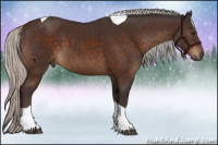 Horse Color:Silver Brown Sabino Tobiano 