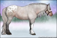 Horse Color:Silver Brown Appaloosa