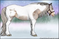 Horse Color:Silver Buckskin Tobiano Snowcap 