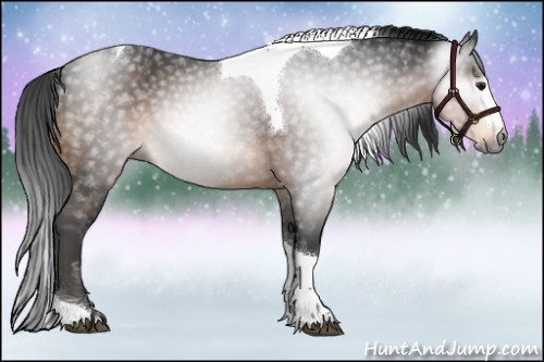 Horse Color:Gray Buckskin Splash Tobiano