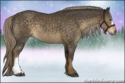 Horse Color:Chocolate Palomino 