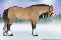 Horse Color:Buckskin Roan Dun Splash 