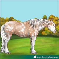 Horse Color:Silver Black Pearl Sabino