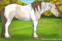 Horse Color:Grullo Pearl Tobiano 