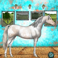 Horse Color:White Spotted Liver Chestnut Pearl Varnish 