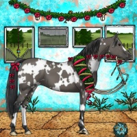 Horse Color:White Spotted Grullo