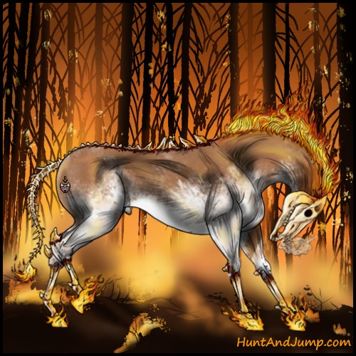 Horse Color:White Spotted Chestnut 