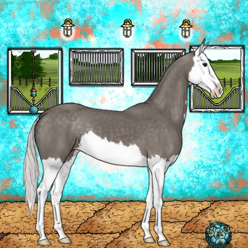 Horse Color:Silver Black Splash