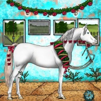 Horse Color:White Spotted Classic Cream Champagne Pearl Rabicano 