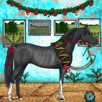 Horse Color:Black Rabicano 