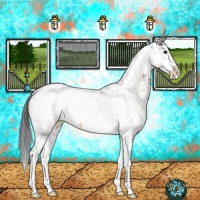Horse Color:Brown Sabino Rabicano 