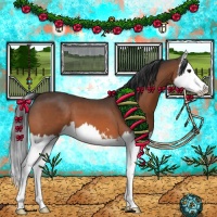 Horse Color:Brown Sabino Splash