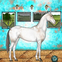 Horse Color:White Spotted Brown Dun Sabino Appaloosa Rabicano 