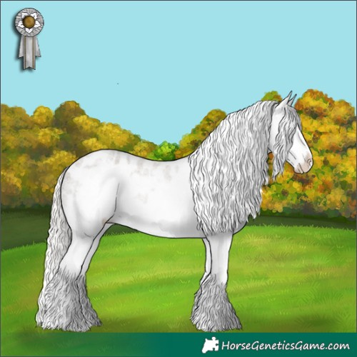 Horse Color:Silver Grullo Roan Splash Frame Appaloosa Rabicano