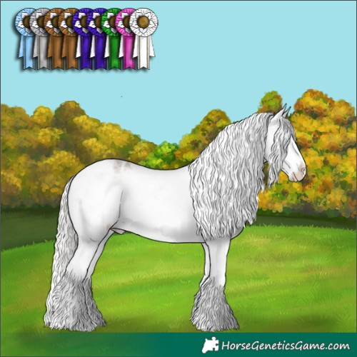 Horse Color:Silver Grullo Roan Mushroom Splash Appaloosa Rabicano