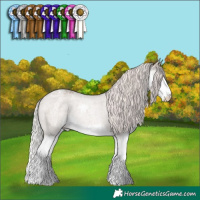 Horse Color:Silver Grullo Roan Mushroom Splash Varnish Rabicano 