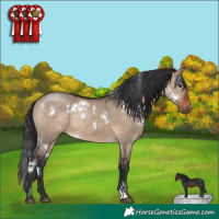 Horse Color:White Spotted Brown Dun Rabicano 
