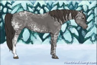 Horse Color:Smoky Black Ice 