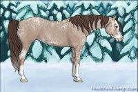 Horse Color:Classic Champagne Ice Splash 