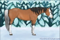 Horse Color:Bay Roan Splash 