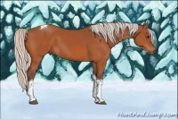Horse Color:Silver Bay Sabino Tobiano