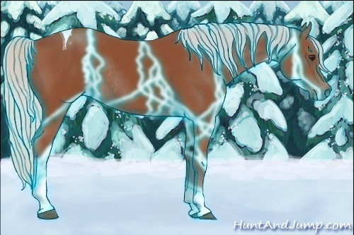 Horse Color:Thunderstruck Silver Bay Sabino Tobiano Rabicano 