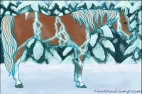 Horse Color:Thunderstruck Silver Bay Sabino Tobiano Rabicano 