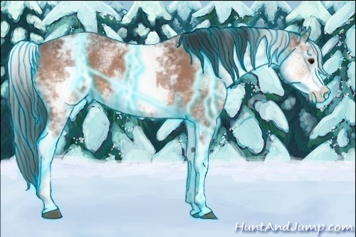 Horse Color:Thunderstruck White Spotted Bay Ice Sabino 