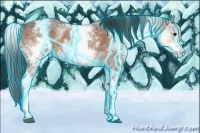 Horse Color:Thunderstruck White Spotted Bay Ice Sabino 
